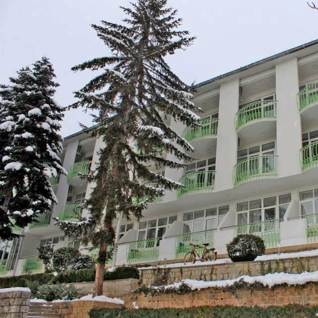 Hotel Klimetica Ohrid Exterior photo